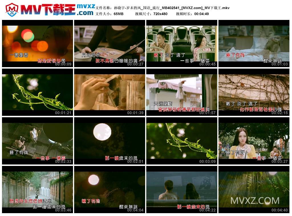 孙晓宇-岁末的风_国语_流行_MB402541